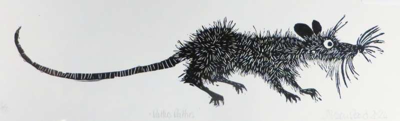 Rattus Rattus!
